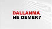 Dallanma