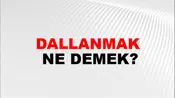 Dallanmak