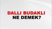 Dallı Budaklı