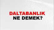 Daltabanlık