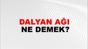 Dalyan Ağı