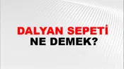 Dalyan Sepeti