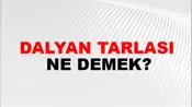 Dalyan Tarlası