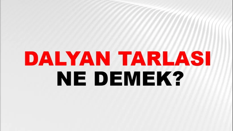 Dalyan Tarlası Dalyan Tarlası