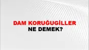 Dam Koruğugiller