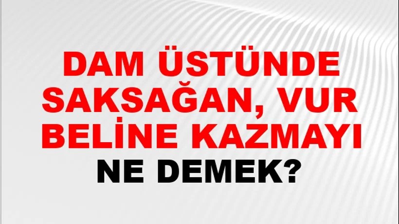 Dam Üstünde Saksağan, Vur Beline Kazmayı Dam Üstünde Saksağan, Vur Beline Kazmayı