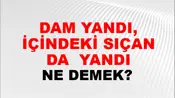 Dam Yandı, İçindeki Sıçan Da (Birlikte) yandı