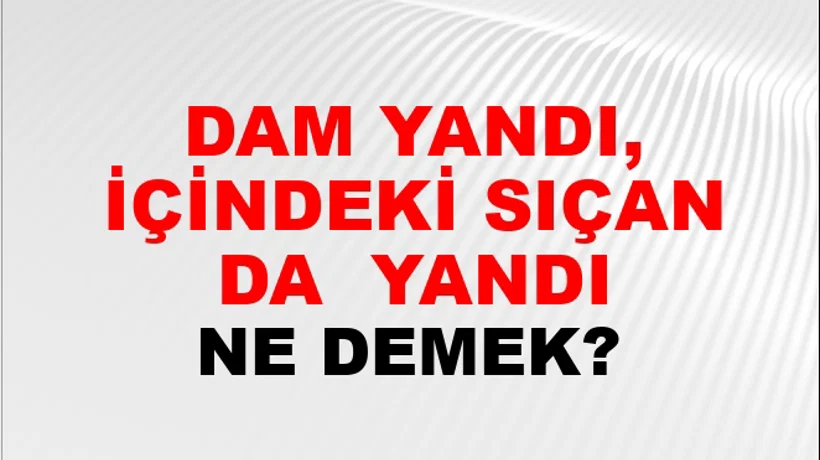 Dam Yandı, İçindeki Sıçan Da (Birlikte) yandı Dam Yandı, İçindeki Sıçan Da (Birlikte) yandı