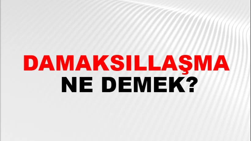 Damaksıllaşma Damaksıllaşma