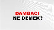 Damgacı