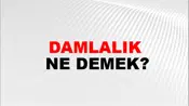 Damlalık