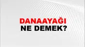Danaayağı
