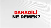 Danadili