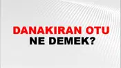 Danakıran Otu