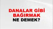 Danalar Gibi Bağırmak (Veya böğürmek)