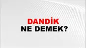 Dandik