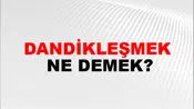 Dandikleşmek