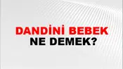 Dandini Bebek