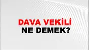 Dava Vekili