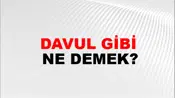 Davul Gibi