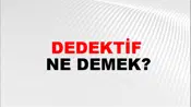 Dedektif