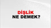 Dişlik