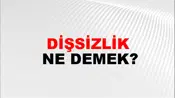 Dişsizlik