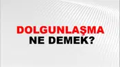 Dolgunlaşma