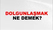 Dolgunlaşmak