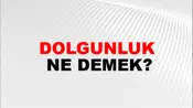Dolgunluk