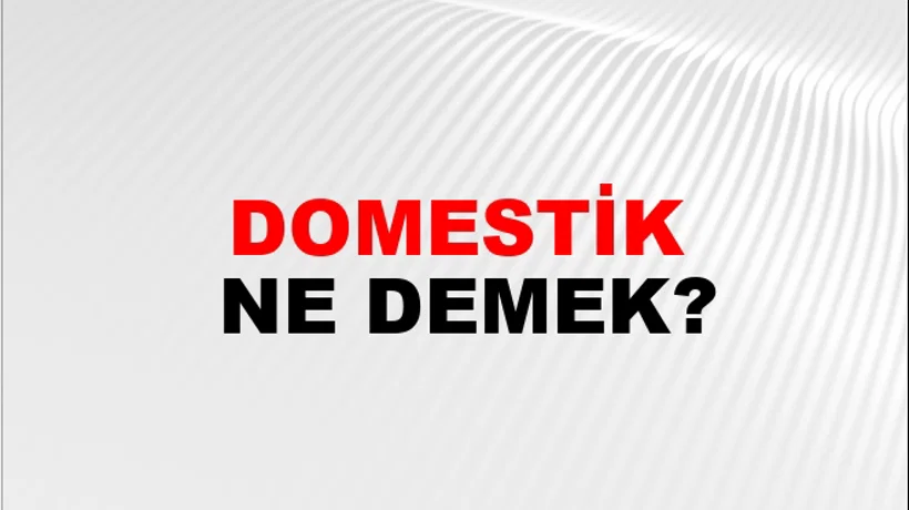 Domestik Domestik