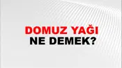 Domuz Yağı