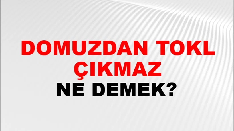 Domuzdan Toklu Çıkmaz (Veya doğmaz) Domuzdan Toklu Çıkmaz (Veya doğmaz)