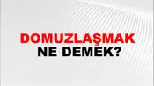 Domuzlaşmak