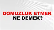 Domuzluk Etmek