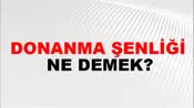 Donanma Şenliği