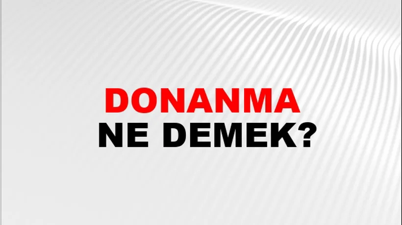 Donanma Donanma