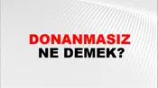 Donanmasız