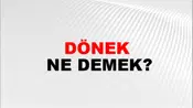 Dönek