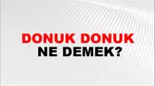 Donuk Donuk