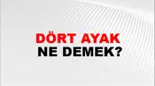 Dört Ayak