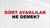 Dört Ayaklılar