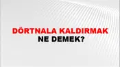 Dörtnala Kaldırmak