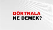 Dörtnala