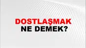 Dostlaşmak