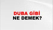 Duba Gibi