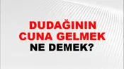 Dudağının Ucuna Gelmek
