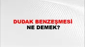 Dudak Benzeşmesi