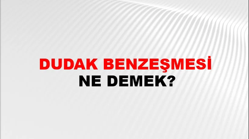 Dudak Benzeşmesi Dudak Benzeşmesi