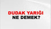 Dudak Yarığı